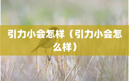 引力小会怎样（引力小会怎么样）