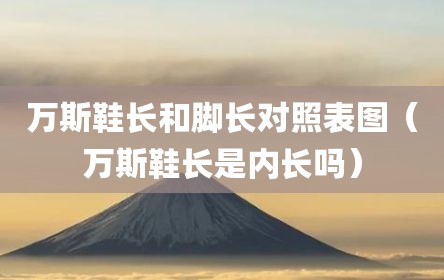 万斯鞋长和脚长对照表图（万斯鞋长是内长吗）