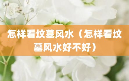 怎样看坟墓风水（怎样看坟墓风水好不好）