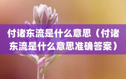付诸东流是什么意思（付诸东流是什么意思准确答案）