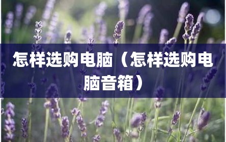 怎样选购电脑（怎样选购电脑音箱）