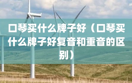 口琴买什么牌子好（口琴买什么牌子好复音和重音的区别）