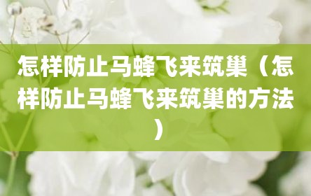 怎样防止马蜂飞来筑巢（怎样防止马蜂飞来筑巢的方法）