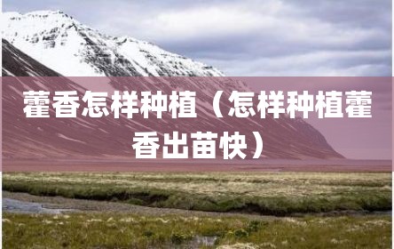 藿香怎样种植（怎样种植藿香出苗快）