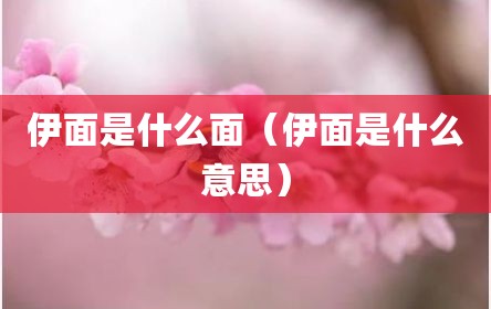 伊面是什么面（伊面是什么意思）