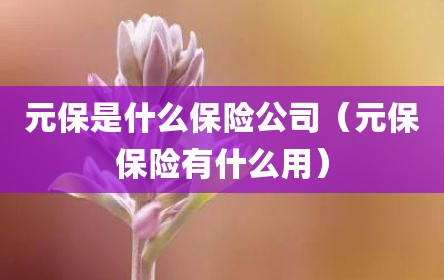 元保是什么保险公司（元保保险有什么用）