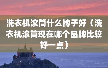 洗衣机滚筒什么牌子好（洗衣机滚筒现在哪个品牌比较好一点）