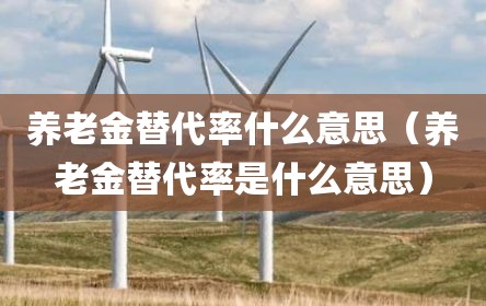 养老金替代率什么意思（养老金替代率是什么意思）