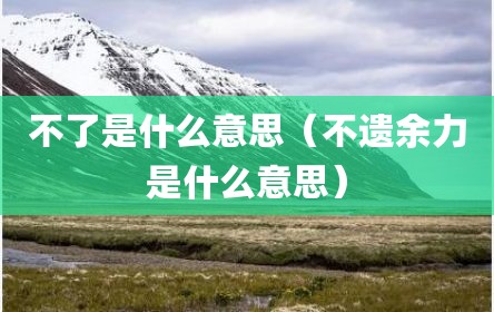 不了是什么意思（不遗余力是什么意思）