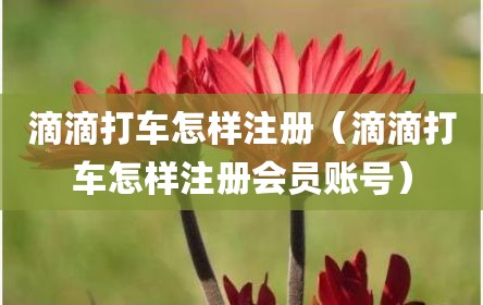 滴滴打车怎样注册（滴滴打车怎样注册会员账号）