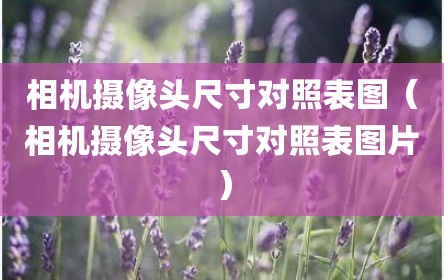 相机摄像头尺寸对照表图（相机摄像头尺寸对照表图片）