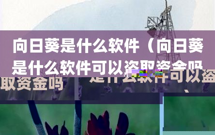 向日葵是什么软件（向日葵是什么软件可以盗取资金吗）