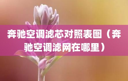 奔驰空调滤芯对照表图（奔驰空调滤网在哪里）