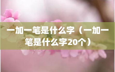 一加一笔是什么字（一加一笔是什么字20个）