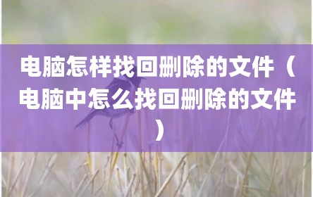电脑怎样找回删除的文件（电脑中怎么找回删除的文件）
