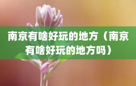 南京有啥好玩的地方（南京有啥好玩的地方吗）