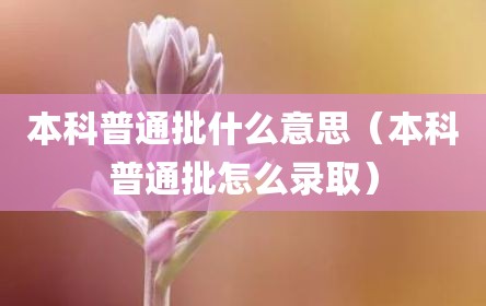 本科普通批什么意思（本科普通批怎么录取）