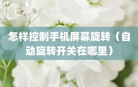 怎样控制手机屏幕旋转（自动旋转开关在哪里）