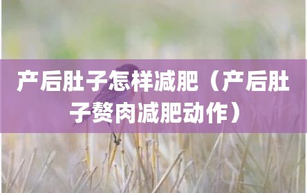 产后肚子怎样减肥（产后肚子赘肉减肥动作）