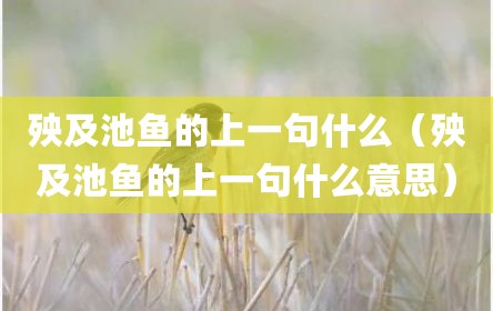 殃及池鱼的上一句什么（殃及池鱼的上一句什么意思）