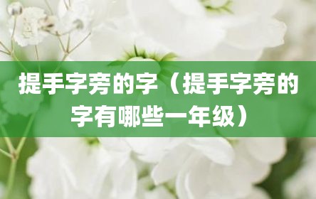 提手字旁的字（提手字旁的字有哪些一年级）