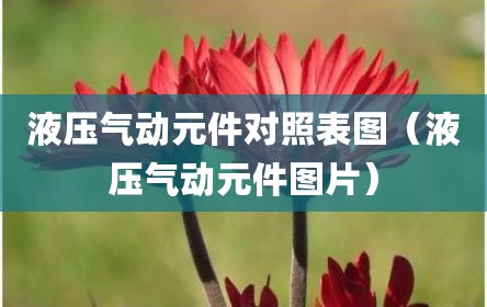 液压气动元件对照表图（液压气动元件图片）