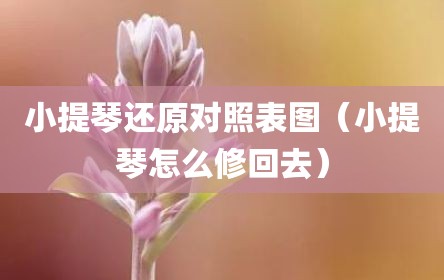 小提琴还原对照表图（小提琴怎么修回去）