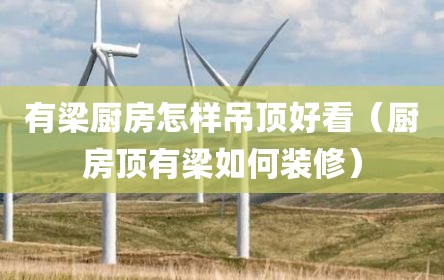有梁厨房怎样吊顶好看（厨房顶有梁如何装修）