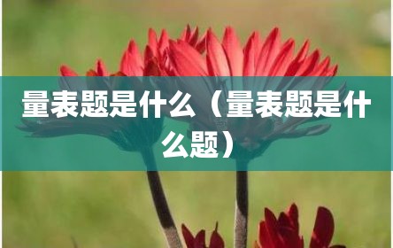 量表题是什么（量表题是什么题）