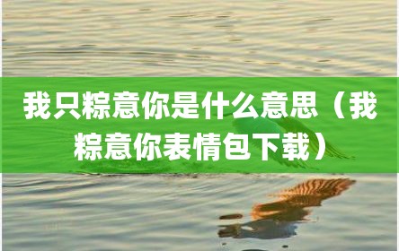 我只粽意你是什么意思（我粽意你表情包下载）