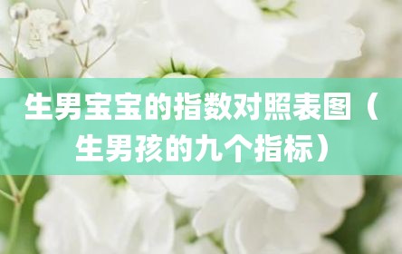生男宝宝的指数对照表图（生男孩的九个指标）