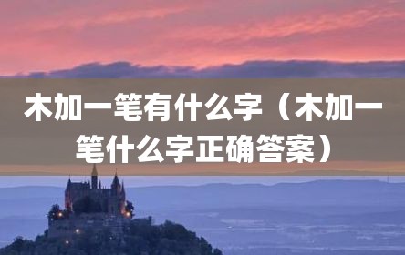 木加一笔有什么字（木加一笔什么字正确答案）
