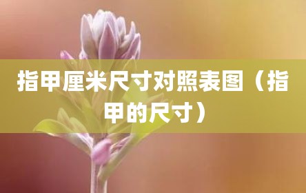 指甲厘米尺寸对照表图（指甲的尺寸）