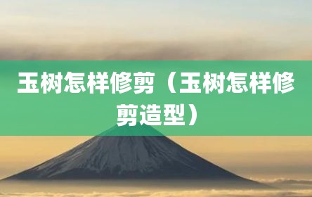 玉树怎样修剪（玉树怎样修剪造型）