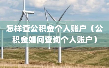 怎样查公积金个人账户（公积金如何查询个人账户）
