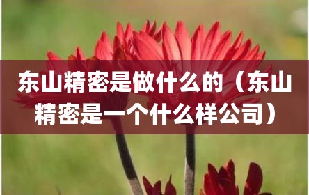 东山精密是做什么的（东山精密是一个什么样公司）