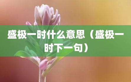 盛极一时什么意思（盛极一时下一句）