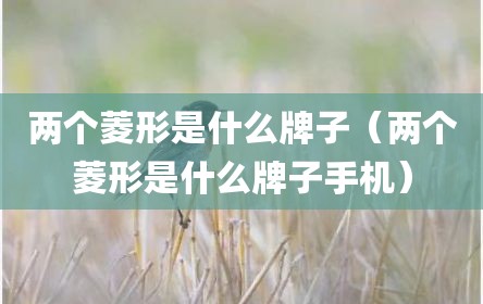 两个菱形是什么牌子（两个菱形是什么牌子手机）