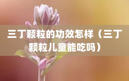 三丁颗粒的功效怎样（三丁颗粒儿童能吃吗）
