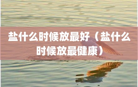 盐什么时候放最好（盐什么时候放最健康）