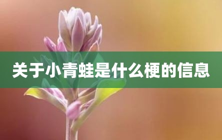 关于小青蛙是什么梗的信息