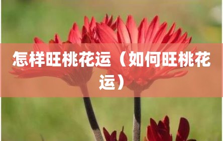 怎样旺桃花运（如何旺桃花运）
