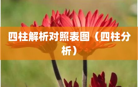 四柱解析对照表图（四柱分析）
