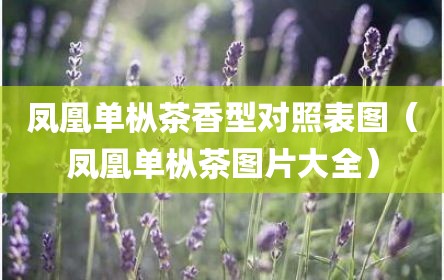 凤凰单枞茶香型对照表图（凤凰单枞茶图片大全）