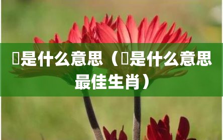 勍是什么意思（勍是什么意思最佳生肖）