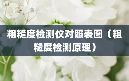 粗糙度检测仪对照表图（粗糙度检测原理）