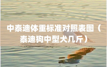 中泰迪体重标准对照表图（泰迪狗中型犬几斤）