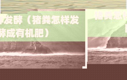 猪粪怎样发酵（猪粪怎样发酵成有机肥）
