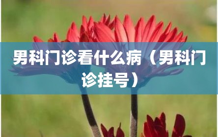 男科门诊看什么病（男科门诊挂号）