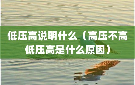 低压高说明什么（高压不高低压高是什么原因）